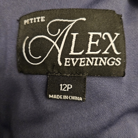 Alex Evenings Petite Long Sleeveless Lace and Sequin Dress Size 12P - Picture 6 of 7